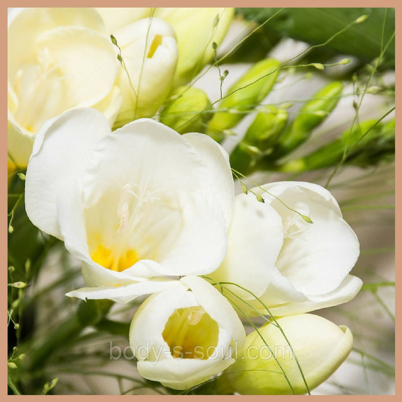 English Pear & Freesia, ароматизатор для косметики, мила і свічок ручної роботи, Craftovator