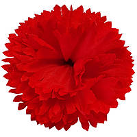 Головы цветов Гвоздики Красные, диаметр 7 см