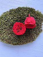 Роза Остин мини красная ( 2,5-3 см )