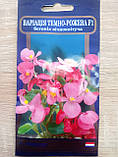 Бегонія вічноквітуча Варіація F1 10 нас., Яскрава, фото 2