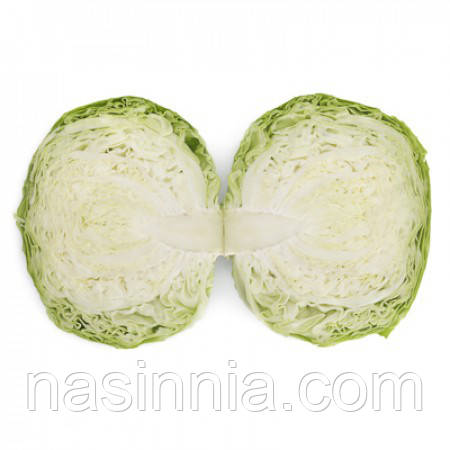 Капуста Нозомі F1 1000 насінин, фото 1