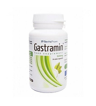 Gastramin (Гастрамин) - капсули для здоров'я шлунка