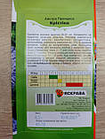 Айстра Принцеса Крістіна 0.3 г, Яскрава, фото 2