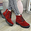 Черевики жіночі бордові замшеві на шнурівці, потовщена підошва, фото 2