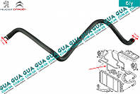 Патрубок / шланг системы охлаждения ( трубка от водяного насоса к расширительному бачку ) 131770 Citroen /