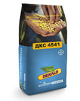 Насіння кукурудзи ДКС4541 Max Yield (Dekalb) ФАО - 380