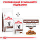 Сухий лікувальний корм Royal Canin Gastro Intestinal Moderate Calorie для кішок, 400 гр, фото 10