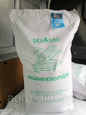 Насіння кукурудзи ДН Фієста, фото 2