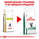 Сухий лікувальний корм Royal Canin Diabetic (Роял Канін Діабетик) для кішок, 400 гр, фото 3