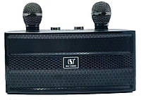 Караоке система YS-202 з двома мікрофонами 20 Ват. Чорна.