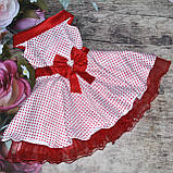 Ошатне пишне плаття в ретростилі в горох для дівчинки "Стиляги"., фото 2