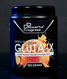 Глютамин в порошку Gluta-X Powerful Progress 500 грам, фото 2