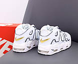 Кросівки чоловічі Nike Air More Uptempo весна осінь демісезонні білі з золотом. Живо фото. Топ, фото 4