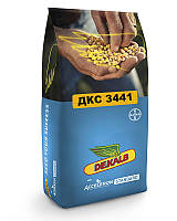 Насіння кукурудзи ДКС3441 (Dekalb) ФАО - 220