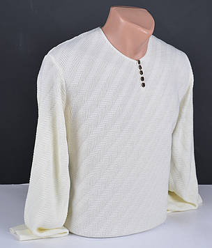 Чоловічий тонкий пуловер великого розміру | Чоловічий светр Vip Stendo молочний Туреччина 3094 Б