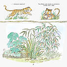Книга для детей. Истории про животных. Тигренок Силия (укр). Ранок 3+, фото 3