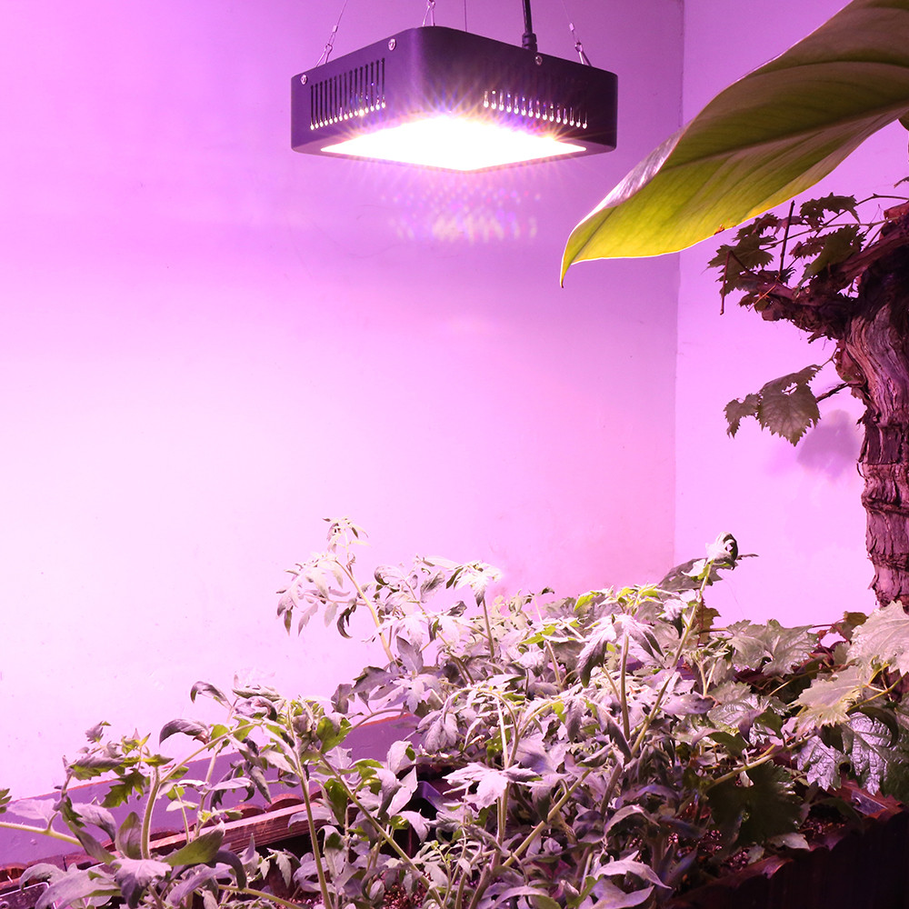 Світлодіодний фітосвітильник 600 Вт для вирощування рослин SMD2835 повного спектра