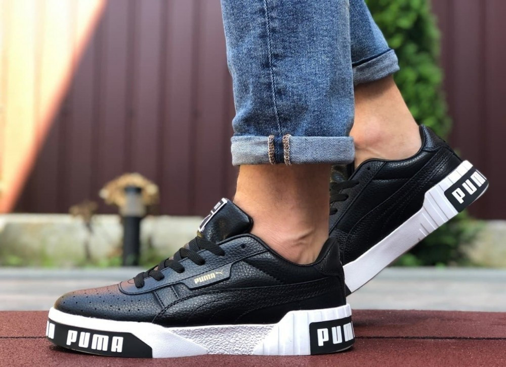 cali bold puma