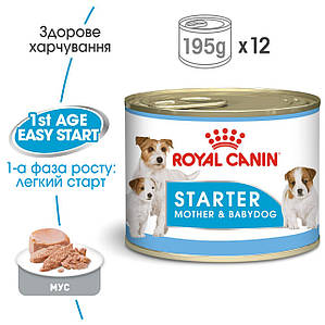 Вологий корм Royal Canin Starter Mousse (Роял Канін Стартер) для цуценят і сук, що годують, 195кг*12 шт.