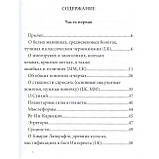 Umbra Maghriba. Графічна магія стародавнього світу. Maelinhon Mylene (книга), фото 2