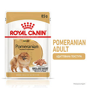 Вологий корм Royal Canin для собак породи Поміранський Шпіц 85ГРх12 шт.