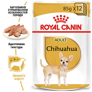 Вологий корм Royal Canin Chihuahua (Роял Канін Чіхуахуа) для собак породи Чіхуахуа, 85 гр.х12 шт.