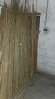 Бамбук для підв'язування рослин. Діаметр 1-2 см. Довжина 0,7м-2.5 м. Бамбук для підв'язування.