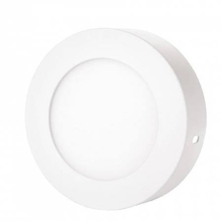 Світильник точковий накладний ЕВРОСВЕТ 12Вт коло LED-SR-170-12 6400К 000039183, фото 1