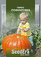 Насіння гарбуз Стофунтовка, 20 г. SeedЕra