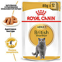 Вологий корм Royal Canin British Shorthair Adult для британських кішок 85 гр.х12 шт.