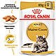 АКЦІЯ! Вологий корм Royal Canin Maine Coon Adult (Роял Канін Мейн Кун) для кішок 0.085 4+1 шт., фото 3