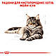 АКЦІЯ! Вологий корм Royal Canin Maine Coon Adult (Роял Канін Мейн Кун) для кішок 0.085 4+1 шт., фото 4