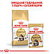 АКЦІЯ! Вологий корм Royal Canin Maine Coon Adult (Роял Канін Мейн Кун) для кішок 0.085 4+1 шт., фото 7