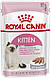 Акція! Вологий корм Royal Canin Kitten (Роял Канін Кітен) паштет для кошенят, 85 гр 9 + 3 шт у подарунок, фото 5
