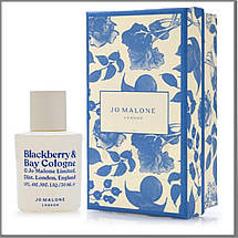 Jo Malone Blackberry & Bay 2021 одеколон 100 ml. (Джо Малон Блекбері енд Бай 2021), фото 4
