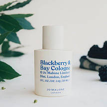 Jo Malone Blackberry & Bay 2021 одеколон 100 ml. (Джо Малон Блекбері енд Бай 2021), фото 5