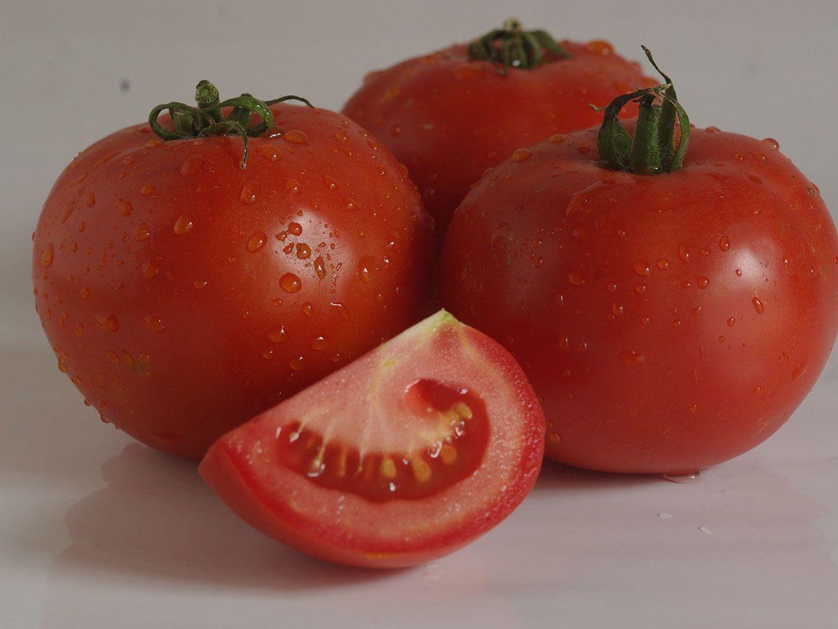 Насіння томату Дайсон (Dayson F1) Esasem 500