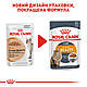 Вологий корм Royal Canin Intense Beauty для кішок (у соусі) 0,085КГ 12 шт., фото 3