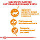 Вологий корм Royal Canin Intense Beauty для кішок (у соусі) 0,085КГ 12 шт., фото 4