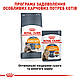 Вологий корм Royal Canin Intense Beauty для кішок (у соусі) 0,085КГ 12 шт., фото 6