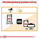 Вологий корм Royal Canin Intense Beauty для кішок (у соусі) 0,085КГ 12 шт., фото 7