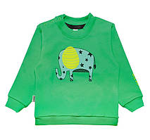 Светр дитячий тепла для хлопчика GABBI Зоосвіт Зелений на зріст 68 (11773)