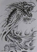 Большая временная татуировка Тату 19*12 см "дракон"