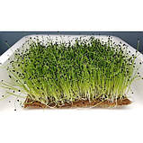 Льняні килимки для мікрозелені. 6 мм/10 см., фото 3