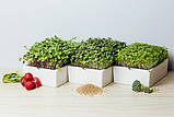 Льняні килимки для мікрозелені. 6 мм/10 см., фото 2