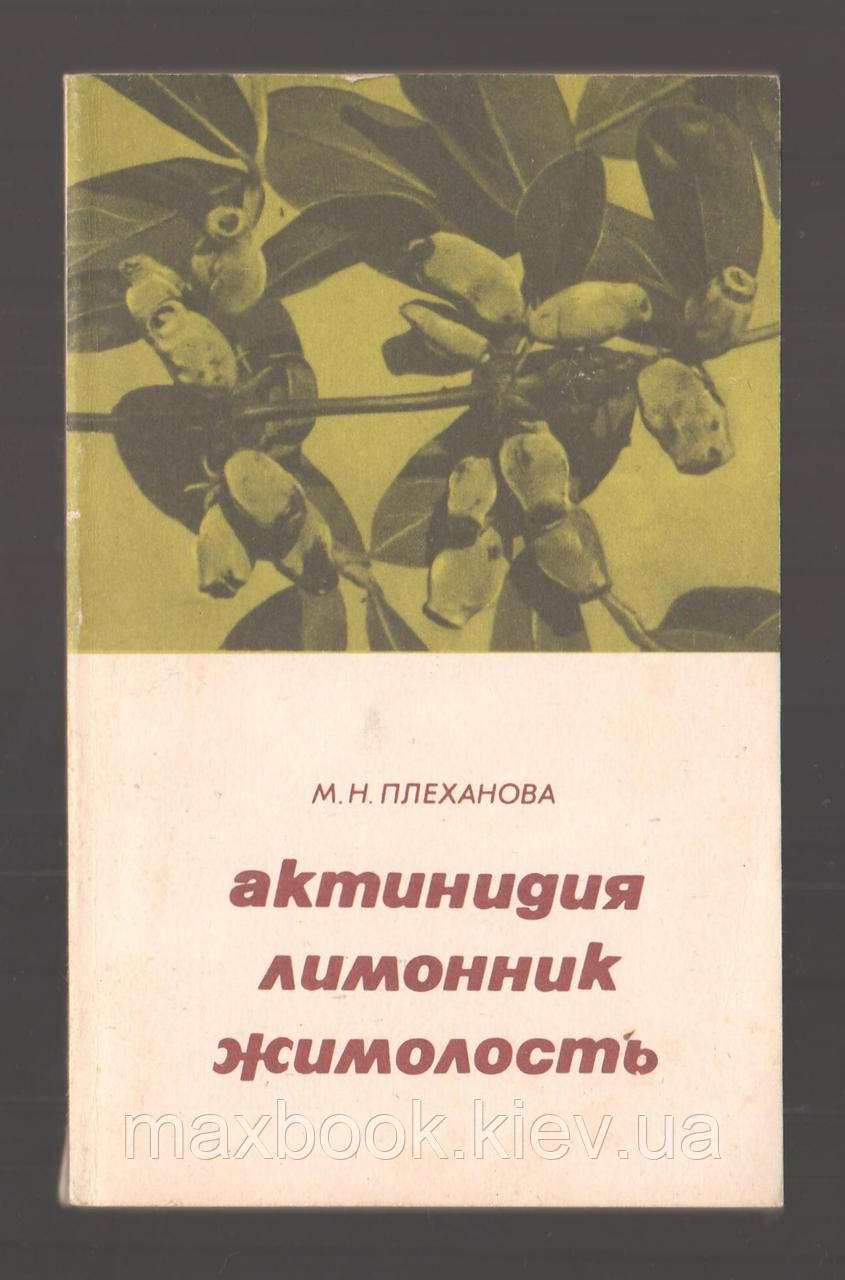 Плеханова М.Н. Актинідія, лимонник, жимолость.