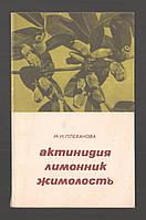 Плеханова М.Н. Актинидия, лимонник, жимолость.