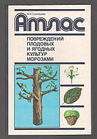 Соловьева М.А. Атлас повреждений плодовых и ягодных культур морозами.