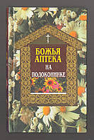 Божья Аптека на подоконнике.