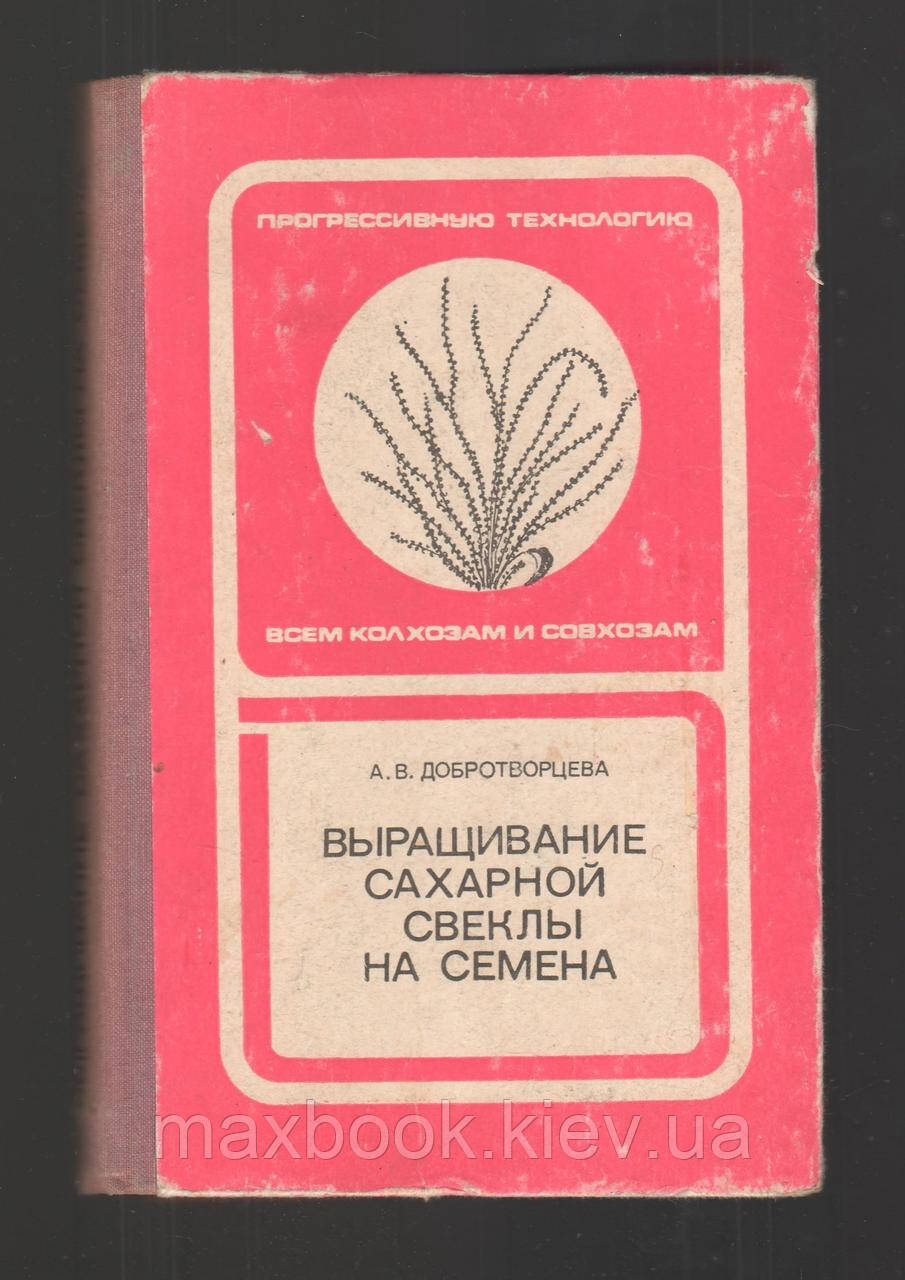 Добротворцева А.В.: Вирощування цукрової буряки на насіння.